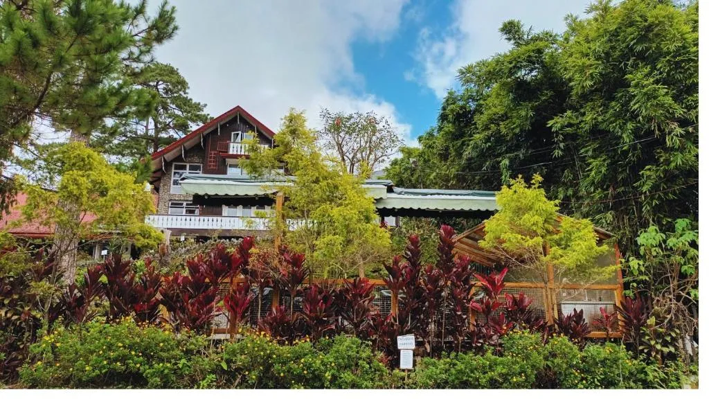 Log Cabin Hotel - Baguio