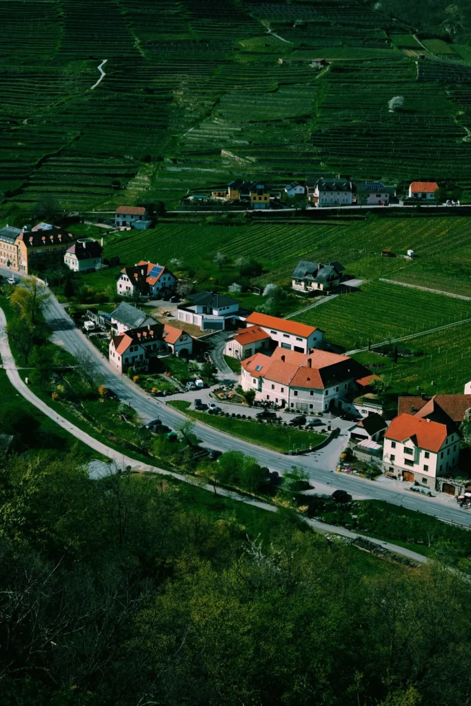 puyang