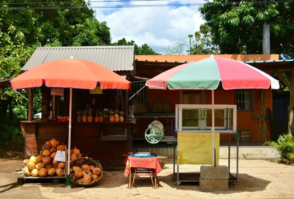 Tourism in Mauritius mosaferon arab