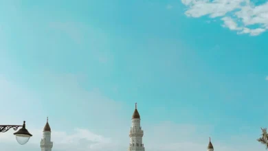 المدينة المنورة