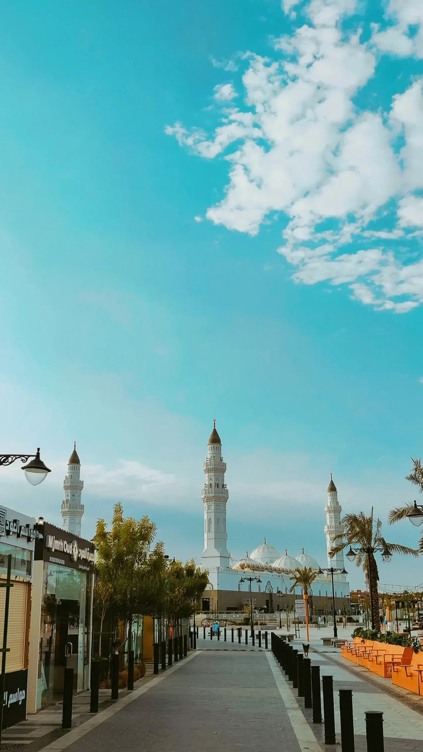المدينة المنورة