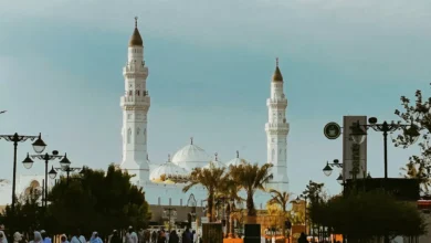 المدينة المنورة