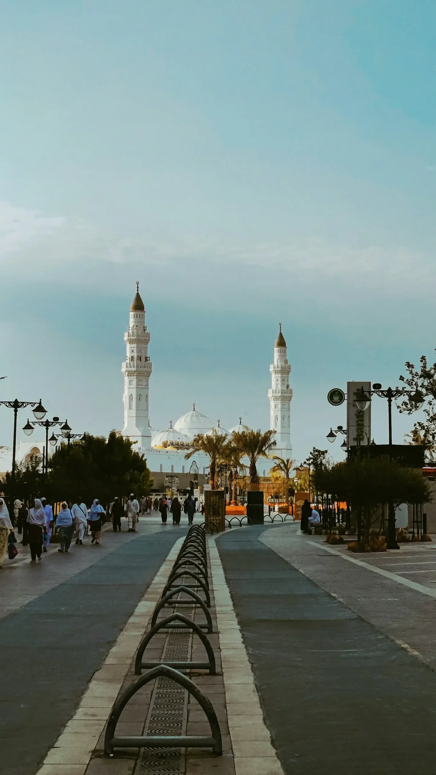 المدينة المنورة